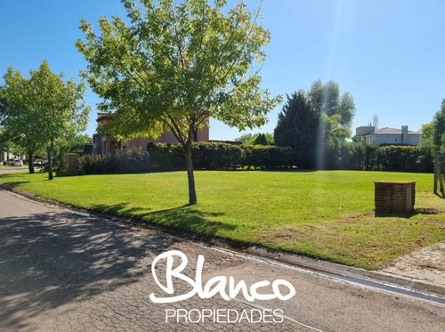 Imagen 3 de 8 de Escriturado! Excelente Lote Interno De 830 Metros En San Isidro Labrador - Villanueva