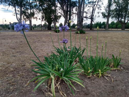 Lote Interno En Venta En   El Campo  - Cardales