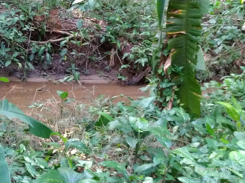 Terreno Para Venda, 622.5 M2, Guaratiba - Rio De Janeiro - 734