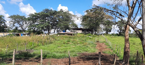 Imagen 11 de 14 de Se Vende Finca 72 Has Orilla De Carretera Manzanita