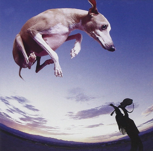 Cd: Flying Dog