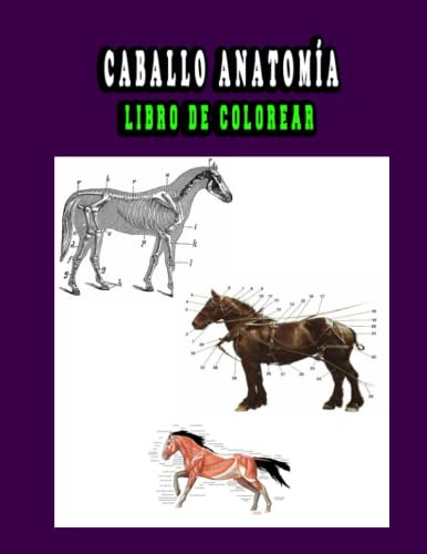 Caballo Anatomia Libro De Colorear: Una Forma Mejor Y Mas Fa