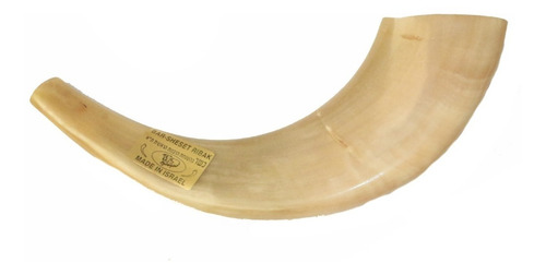 Imagem 4 de 5 de Shofar Chifre De Carneiro De Tocar - De Israel