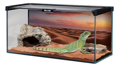 Terrario De Reptiles De 4.5 Galones, Tanque De Vidrio Para R