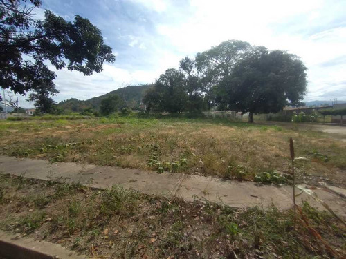 Imagen 5 de 11 de Venta Terreno Propio En Urb. Santa Rosalia, Cagua.