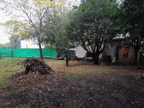 Imagen 6 de 10 de Casa - Virrey Del Pino