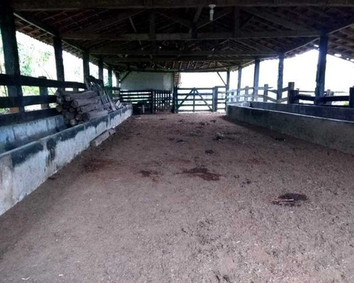 Imagem 13 de 30 de Fazenda - 0132 - 32820420