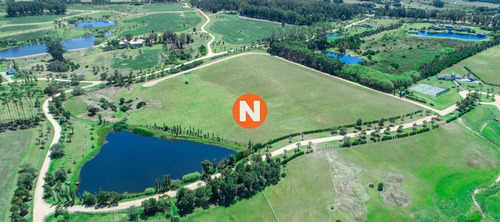 Imagen 7 de 9 de Lote En Laguna Estate, Manantiales - Manantiales Laguna Estates