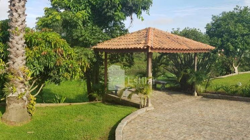 Imagem 9 de 30 de Chácara 3.000m² No São Domingos, São José Dos Pinhais - Ch0037