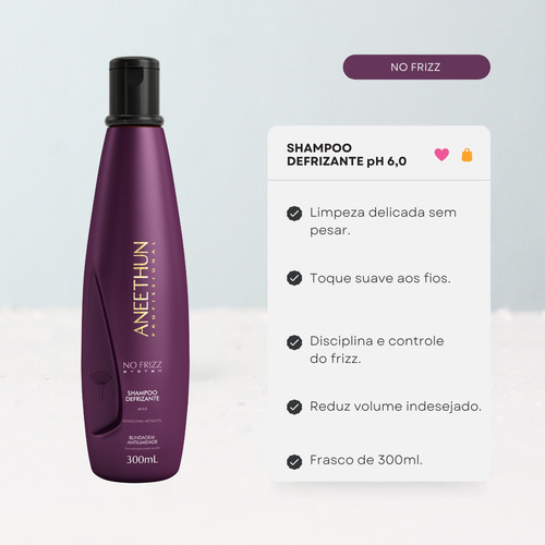 Kit Disciplinante No Frizz Aneethun 3 Produtos Frizz Zero