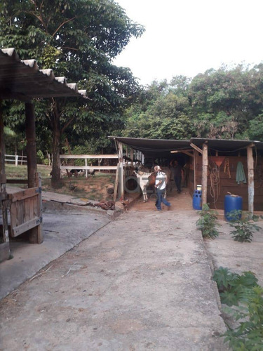 Chácara Com 3 Dormitórios À Venda, 3972 M² Por R$ 1.600.000 - Jardim Nova Veneza - Sumaré/sp - Ch0185