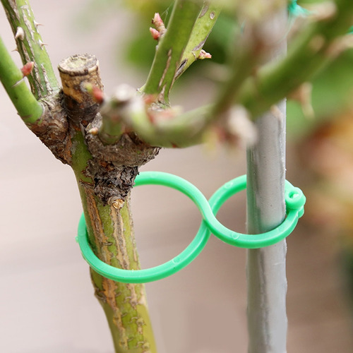 (2 #mold) Pinzas Para Atar Parras De Jardín Con Hebilla, Paq