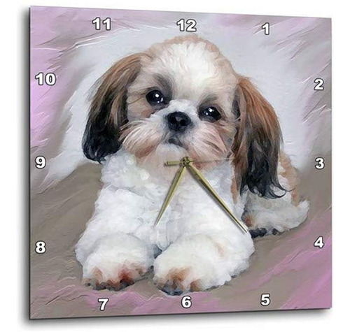 Perros Shihtzu  Shih Tzu Cachorro  Relojes De Pared