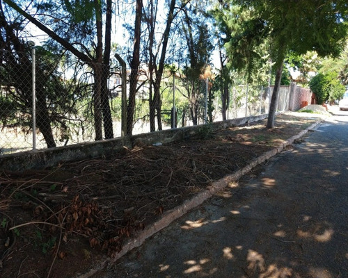 Imagem 12 de 12 de Vende-se Terreno Colinas Do Mosteiro De Itaici, Indaiatuba/sp - At. 2.500 M² - Tr02837 - 69476883