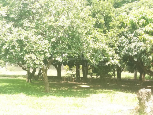 Venda De Rural / Chácara Na Cidade De São Carlos 11364