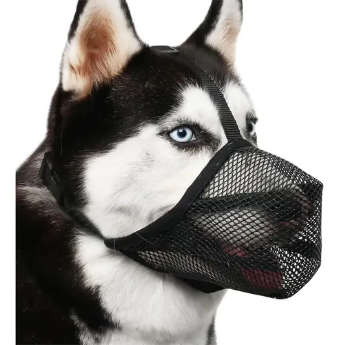 EcoEarth Bozal para Perros - Bozal de Canasta Duradero para Perros de tamaño Mediano - Mediano, Negro - Cubierta bucal Ajustable y Transpirable para Evitar mordeduras y ladridos