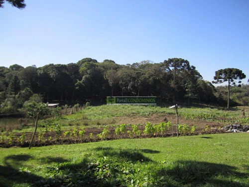 Imagem 23 de 30 de Chácara Com 4 Dormitórios À Venda, 40000 M² Por R$ 1.600.000,00 - Campina - São José Dos Pinhais/pr - Ch0007