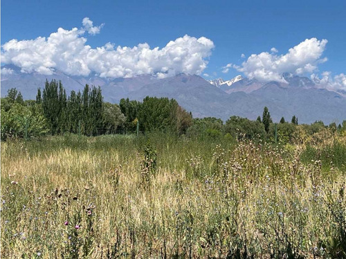 Oportunidad Terreno Frente Las Pérgolas Vista Flores