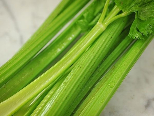 Baker Creek Heirloom Seeds Celery / Apio Utah 200 Semillas