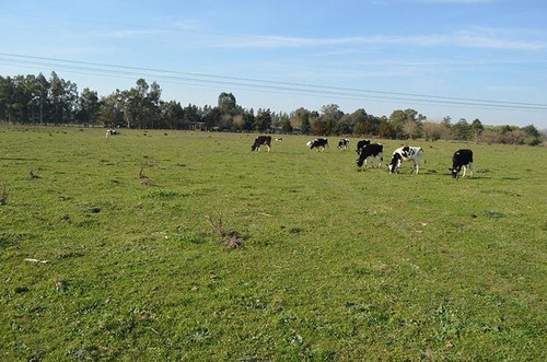 Imagen 7 de 17 de Terreno Para Empredimiento Manzanares 15 Hectareas
