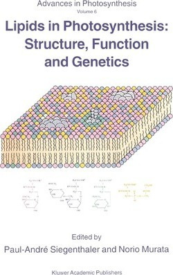 Lipids In Photosynthesis: Structure, Function And Genetic...