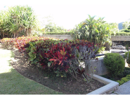 Ms: 25-8836 Se Vende Amplio E Iluminado Apartamento En Planta Baja, En Los Samanes. A=230m2, 3h, 3b, 3p.
