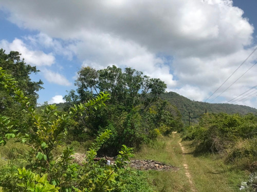 Imagen 4 de 6 de Terreno Vacacional En Venta En Tucacas Morrocoy Inm-026