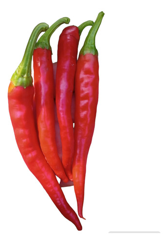 Semillas De Aji Cayena Picante!