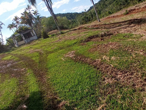 Imagem 5 de 24 de 03t- Soluções Dos Seus Problemas Está Aqui Nesse Terreno Amigo (a)