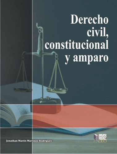 Libro: Derecho Civil, Constitucional Y Amparo