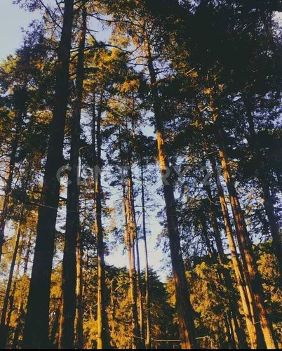 Vendo Terreno De 6,634 Metros En Fracc. Bosque Real, Huasca De Ocampo Hidalgo.