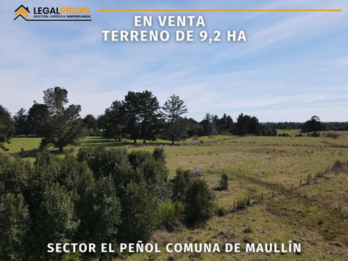 Legalpropschile Terreno En Venta 9,2 Ha Comuna De Maullín.