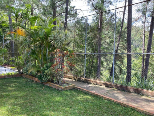 Imagen 17 de 18 de Se Vende Casa 2400m2 5h+s/ 4b+s/ 10p Cerro Verde