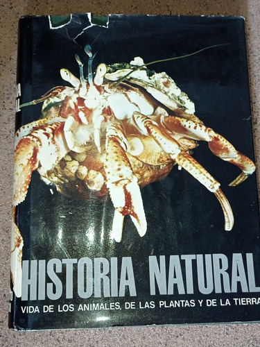 Historia Natural Tomo Ii Zoologia Invertebrados Gallach 