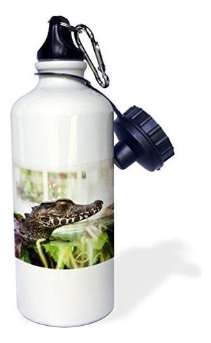 3drose Image Of A Crocodile Alligator Sports Water Bott