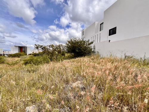 Terreno De 596m2 En Esquina, Garambullo Zibatá. Am