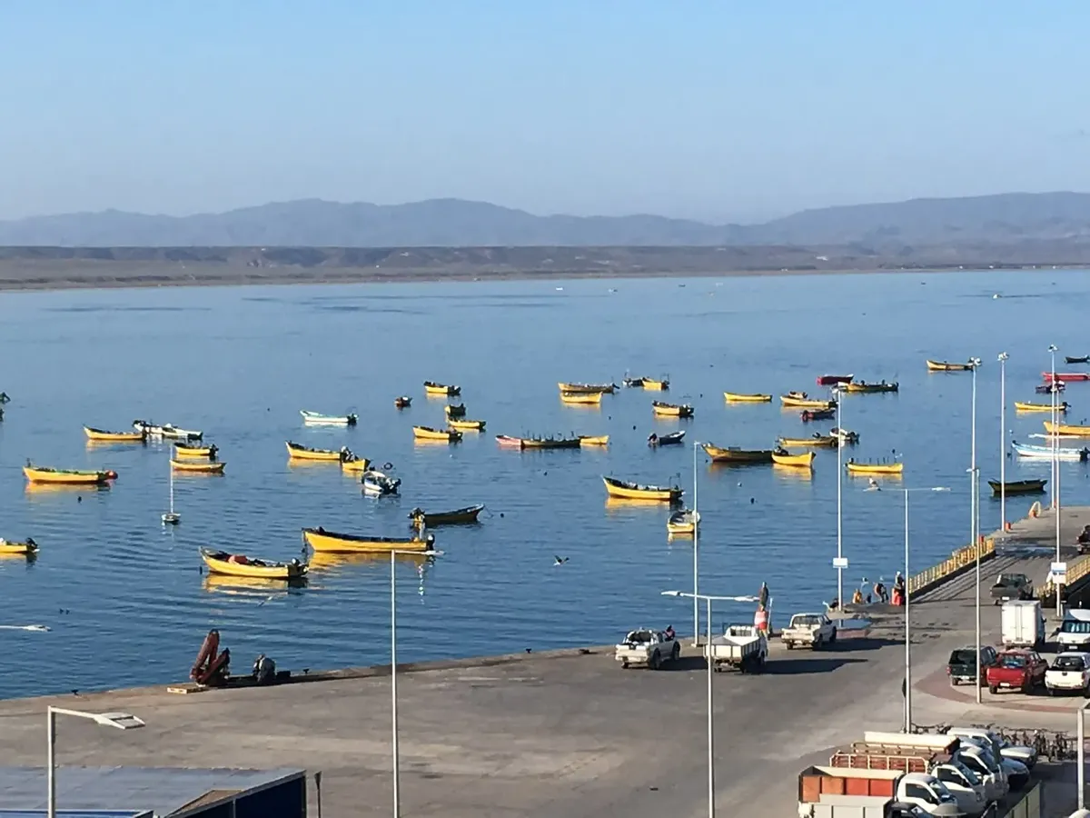 Imagen 5 de 28 de Casa En Tongoy Maravillosa Vista En Primera Línea