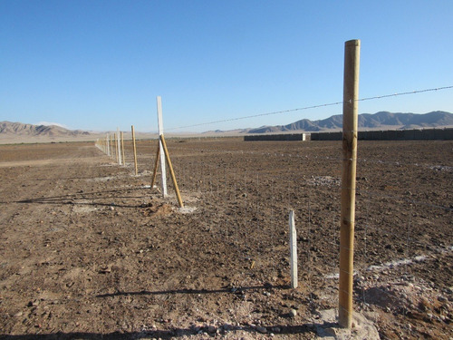 Imagen 9 de 9 de Terrenos En Copiapó - Último Terreno Disponible Doña Jacinta