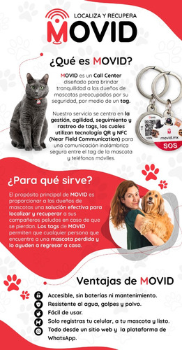 Localizador Para Mascotas Podenco Orito Codigo Qr Movid
