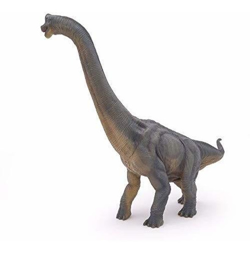 La Figura De Dinosaurio, Braquiosaurio