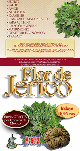 Rosas De Jericó La Original - Paquete Con 10 Piezas | Envío gratis