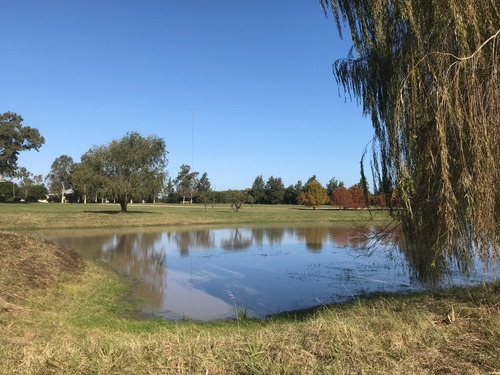 Imagen 10 de 13 de Nuevo Lote En Chacras Del Paraná Consultame Vivo Aqui Y Se De Lo Que Hablo