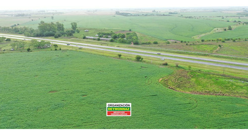 Imagen 30 de 30 de 24 Has Sobre Autovía Ruta 14 Colonia Elia Entre Ríos