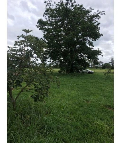 Imagem 7 de 9 de Lote / Terreno À Venda - Palmas Del Rey, Arealva-sp - 3849