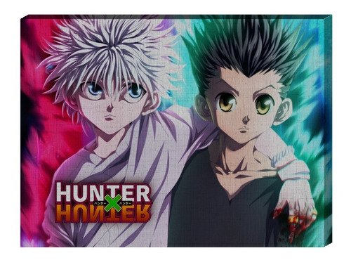 Cuadro Hunter X Hunter : Gon Y Killua - Gw041