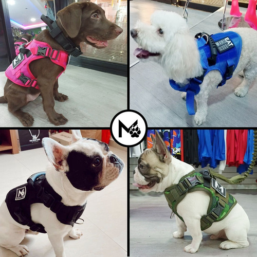 Imagen 4 de 8 de Pecheras Para Perros Pequeños. Combos De 3 Piezas