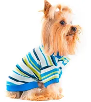 Comprar Remeras Chombas Ropa Para Perros O Gatos  Limited Edition !!