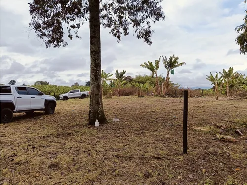 Se Venden Lotes En Quimbaya - Quindío