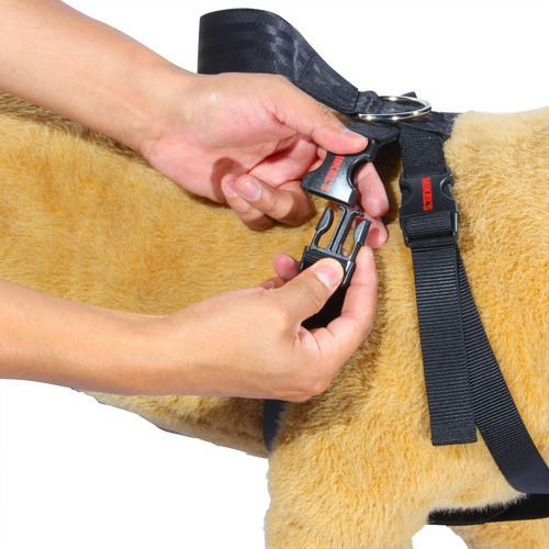 Cinturón Seguridad Mascotas Ajustable Mikels Cisma 60-90 Cm Color Negro