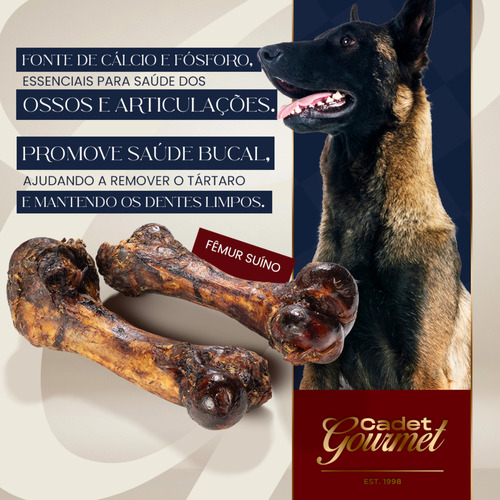 Kit 10 Fêmur Suína Osso Natural Desidratada Para Cães Cadet
